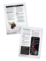 DELVE Hardcover & PDF (Shadowdark)